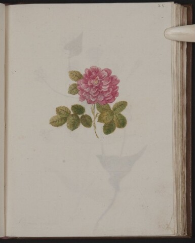 Anteprima dell'oggetto