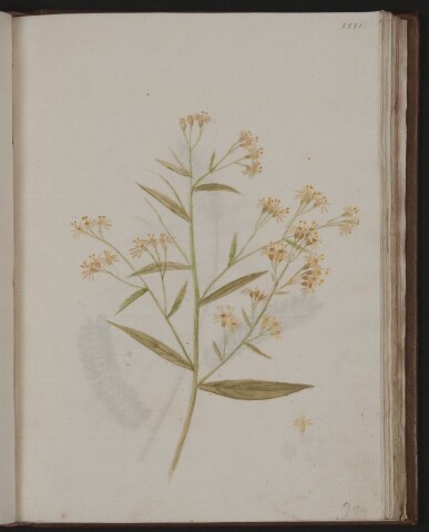 Anteprima dell'oggetto