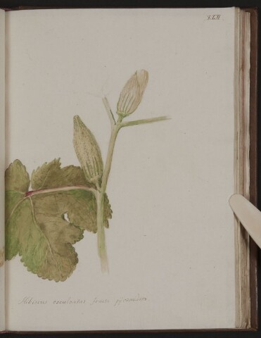 Anteprima dell'oggetto