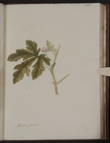 Anteprima dell'oggetto