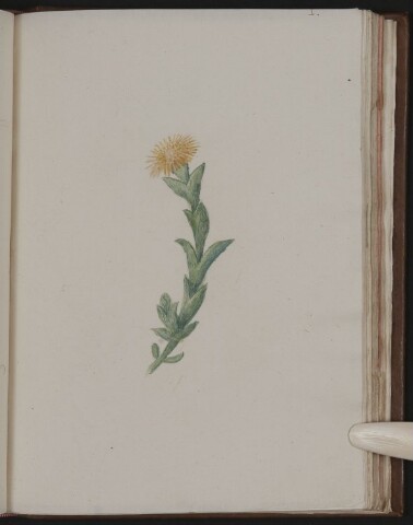 Anteprima dell'oggetto