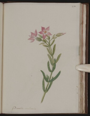 Anteprima dell'oggetto