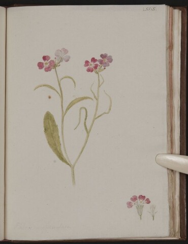 Anteprima dell'oggetto