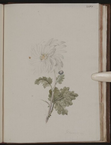 Anteprima dell'oggetto