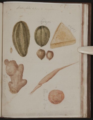 Anteprima dell'oggetto