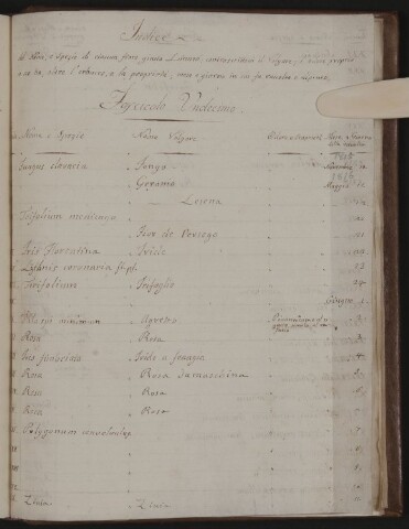 Anteprima dell'oggetto