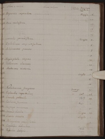 Anteprima dell'oggetto