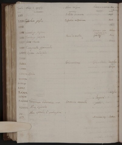 Anteprima dell'oggetto