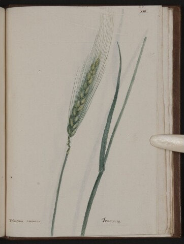 Anteprima dell'oggetto