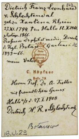 Anteprima dell'oggetto