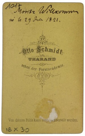 Anteprima dell'oggetto