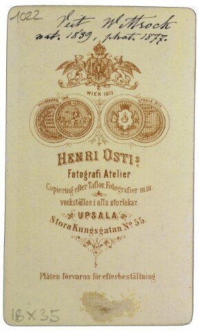 Anteprima dell'oggetto