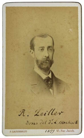 Anteprima dell'oggetto