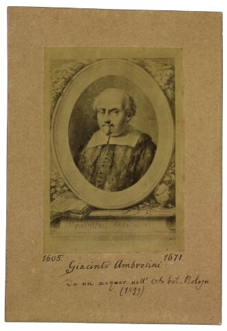 Anteprima dell'oggetto