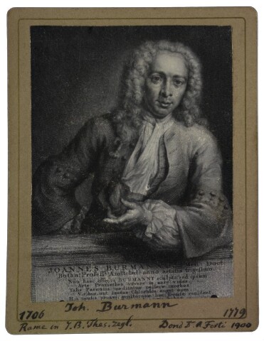 Anteprima dell'oggetto