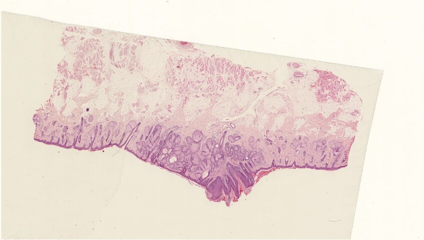 Anteprima dell'oggetto