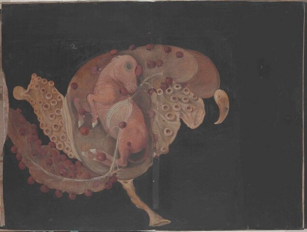 Anteprima dell'oggetto