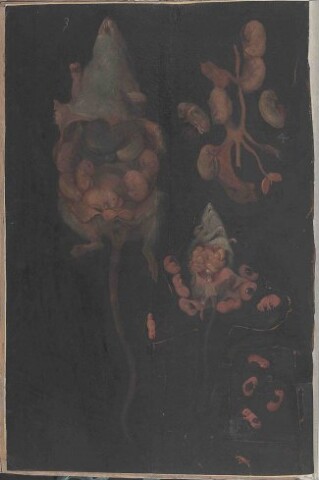 Anteprima dell'oggetto