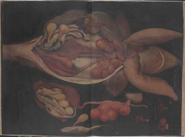 Anteprima dell'oggetto