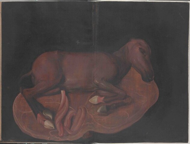 Anteprima dell'oggetto