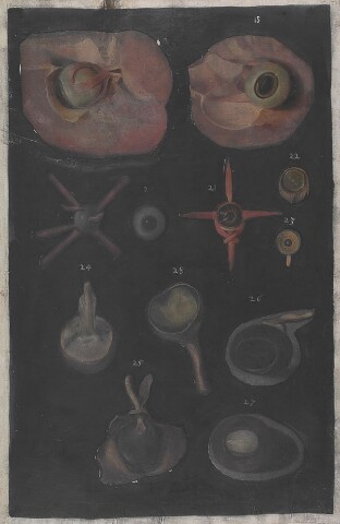 Anteprima dell'oggetto