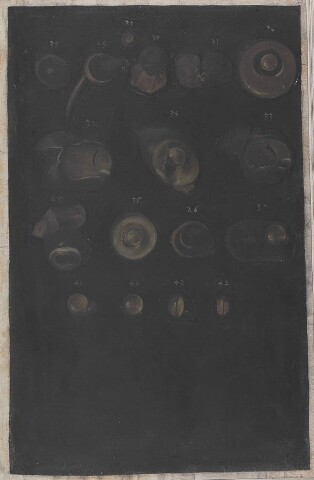 Anteprima dell'oggetto