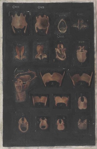 Anteprima dell'oggetto