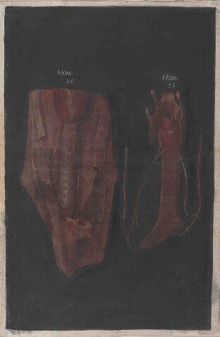 Anteprima dell'oggetto