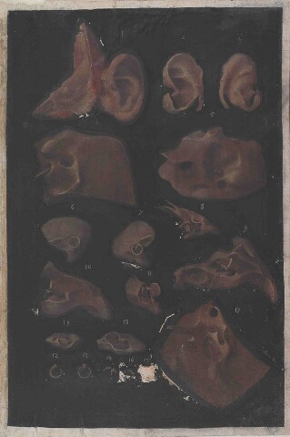 Anteprima dell'oggetto