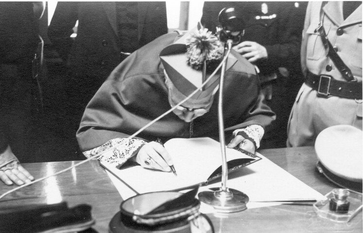 Anteprima dell'oggetto