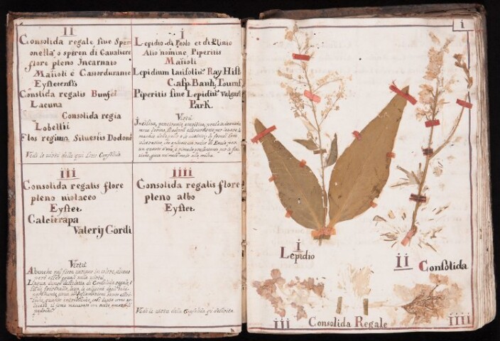 Anteprima dell'oggetto