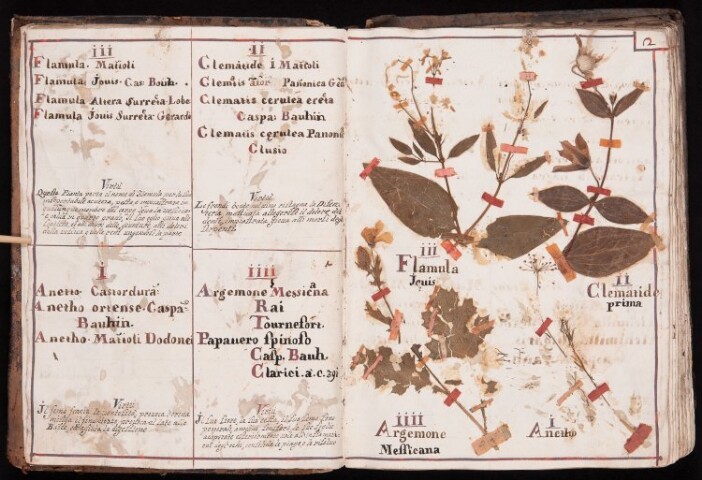 Anteprima dell'oggetto