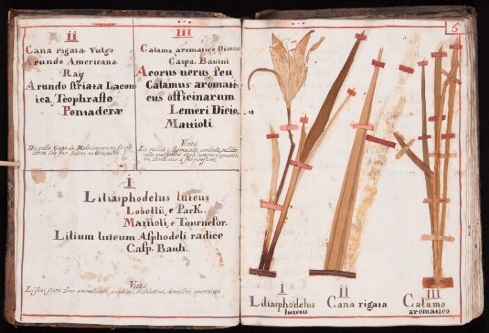 Anteprima dell'oggetto