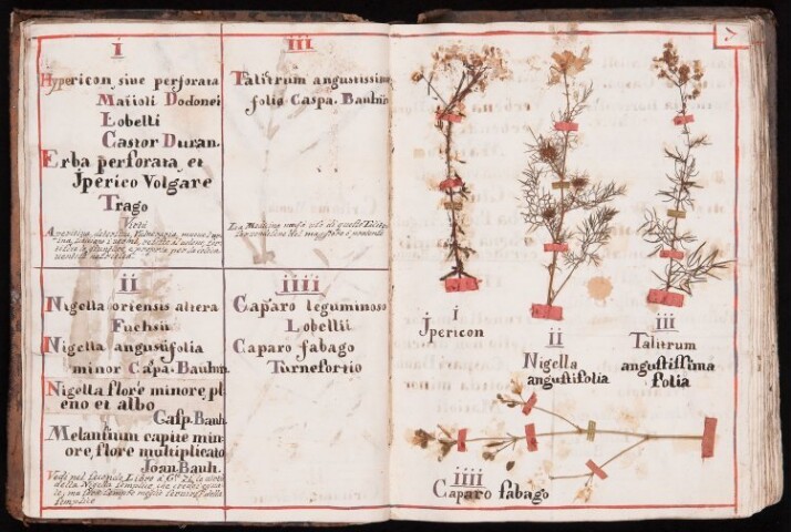 Anteprima dell'oggetto