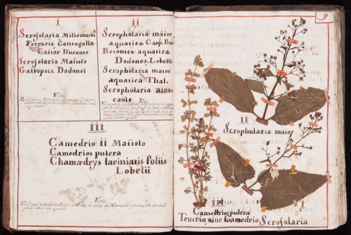 Anteprima dell'oggetto