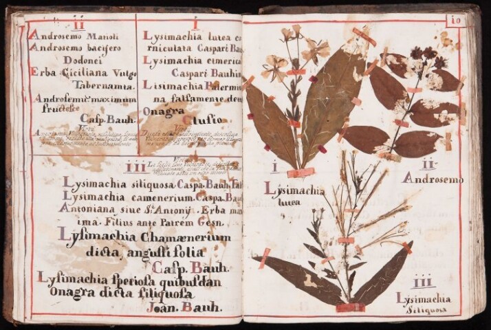 Anteprima dell'oggetto