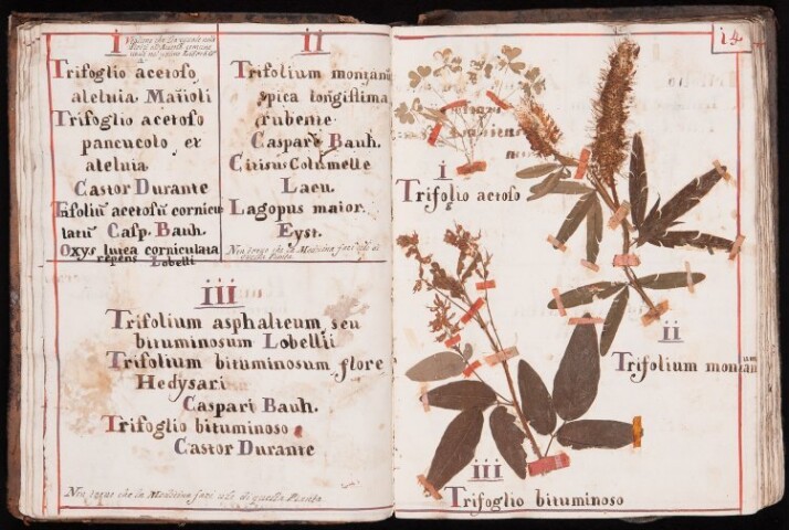 Anteprima dell'oggetto