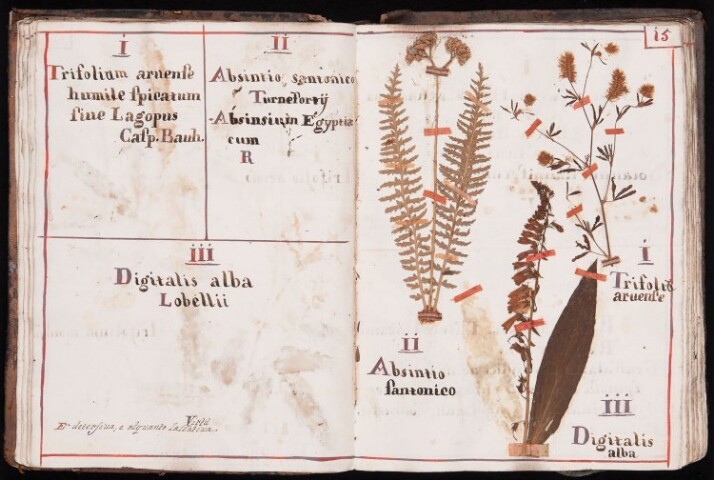 Anteprima dell'oggetto