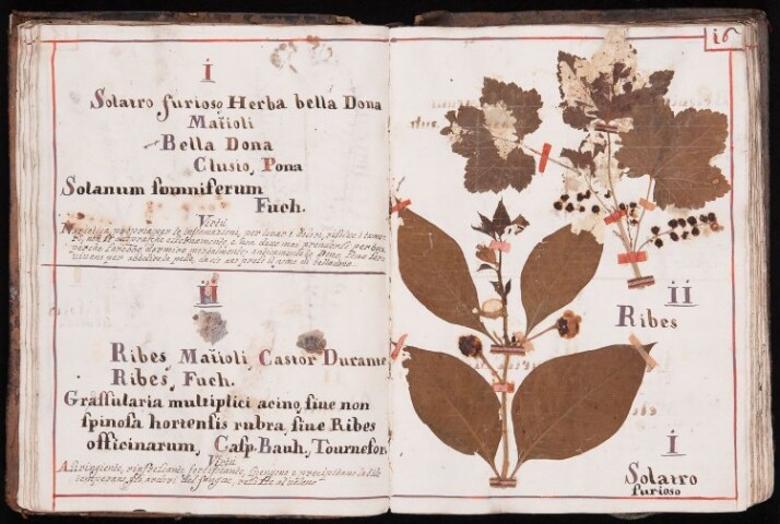 Anteprima dell'oggetto