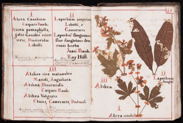 Anteprima dell'oggetto