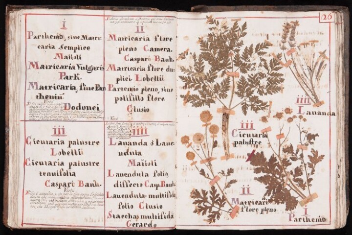 Anteprima dell'oggetto