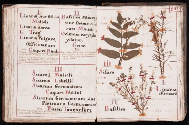 Anteprima dell'oggetto