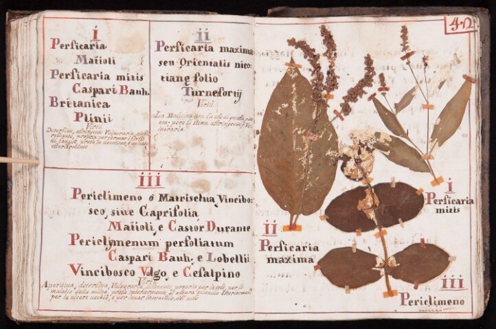 Anteprima dell'oggetto