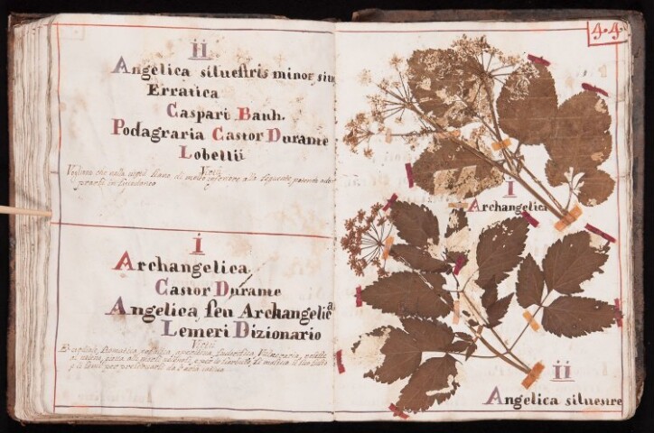 Anteprima dell'oggetto