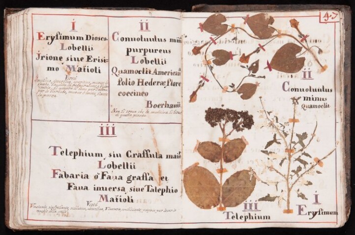 Anteprima dell'oggetto