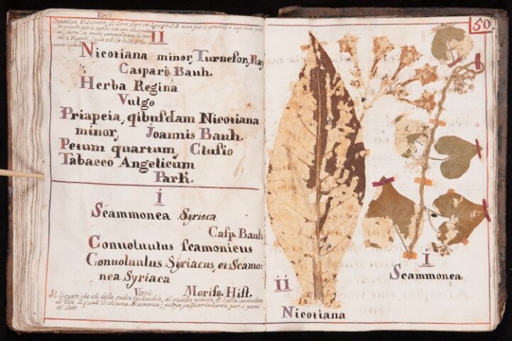 Anteprima dell'oggetto