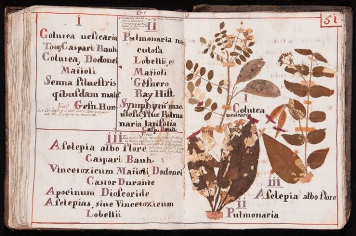 Anteprima dell'oggetto