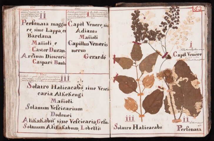 Anteprima dell'oggetto