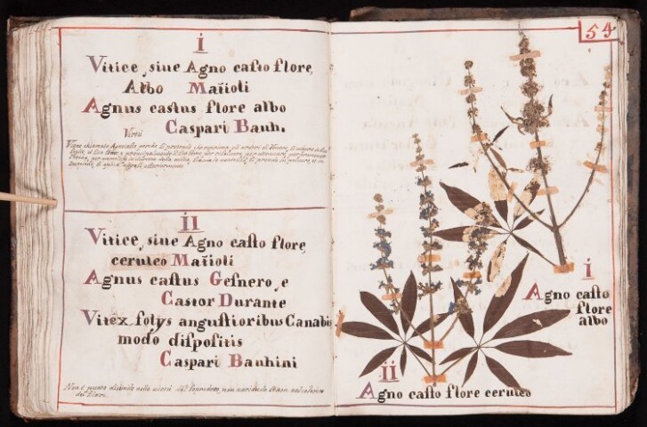 Anteprima dell'oggetto