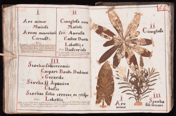 Anteprima dell'oggetto